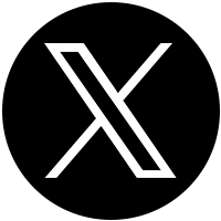 公式X